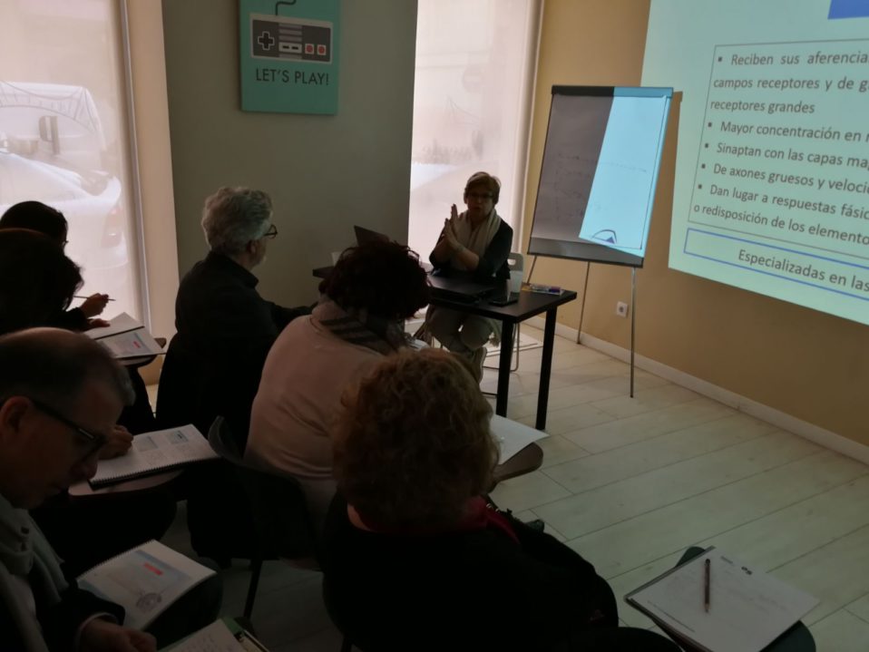 Gran acogida del curso sobre Organización anatomofuncional de la Corteza Visual